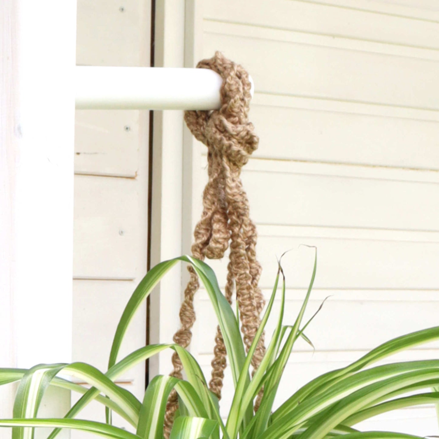 white plant wall hook outdoor